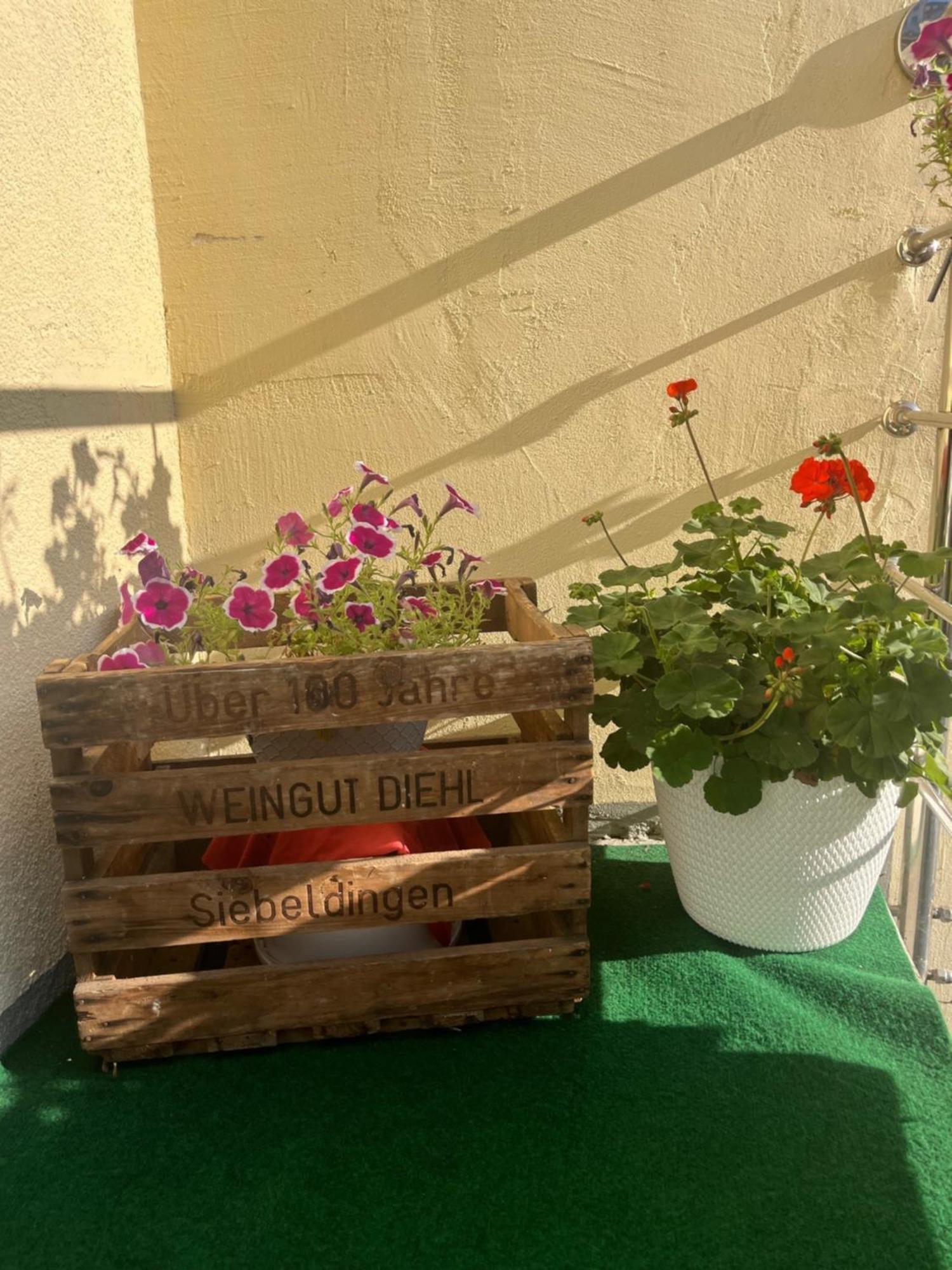 Hotel Jaegerhaus In Singen Am Hohentwiel 외부 사진